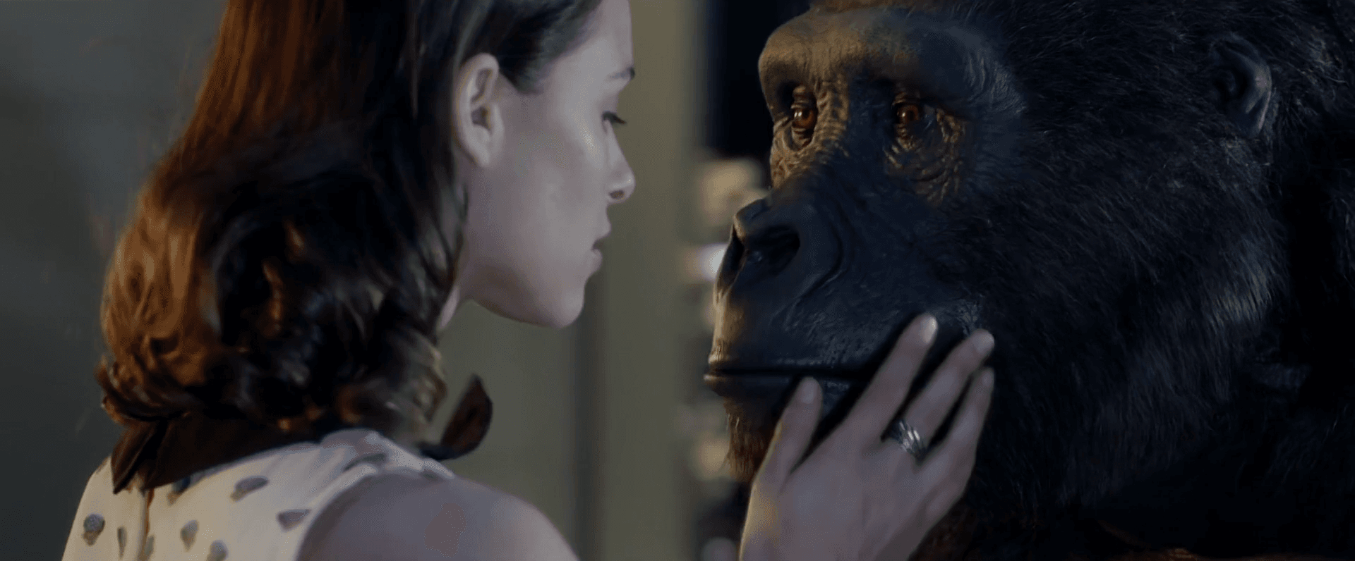 Gorilla